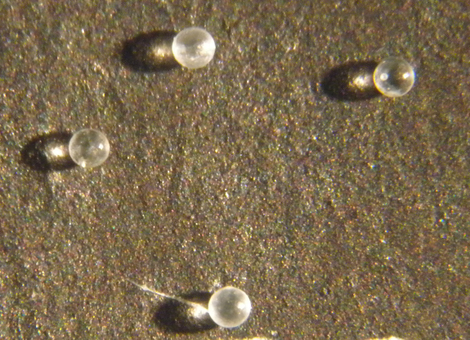 Four microtektites.
